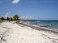 Foto  037